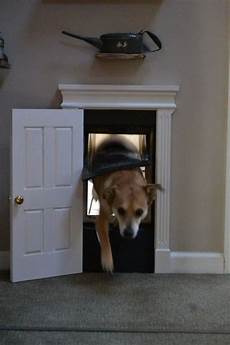 Dog door
