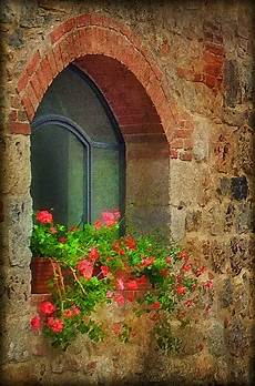 Doors Window