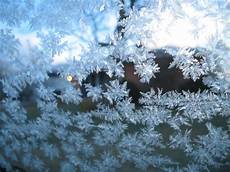 Frosted