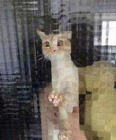 Glass For Door