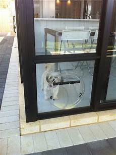Pet Door