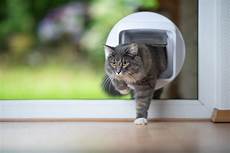 Pet Door