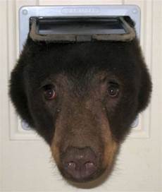 Pet Door