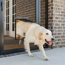 Pet Door
