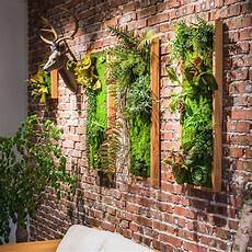 Plastic Frame Material