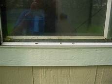 Sash Frame Mullion Double Glazing