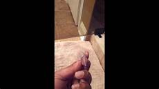 Shower Door Seal