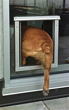 Sliding Doors Glass