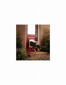 Staywell Dog Door