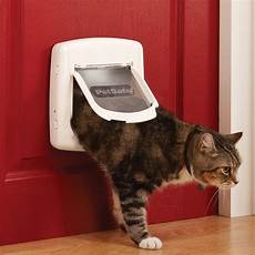 Staywell Dog Door