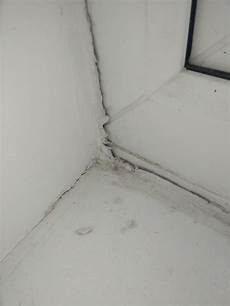 Windows Pvc